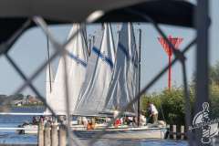 Aend-Week-33-2026-33